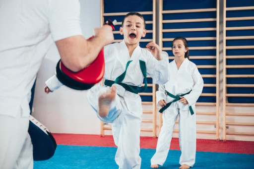 Niğde Taekvando Yaz Spor Kursu Kayıt