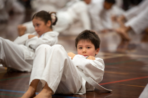 Kayseri Taekwondo Kursu