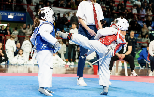 Nevşehir Taekwondo Kursu