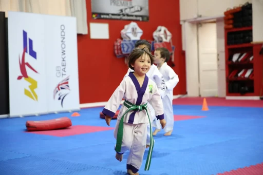 Adana Taekwondo Kursu (Özel Ders)