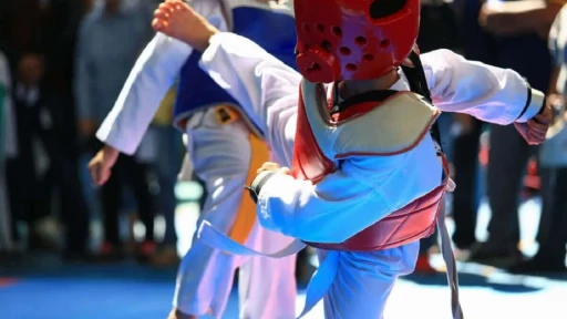 İzmir Taekwondo Kursu