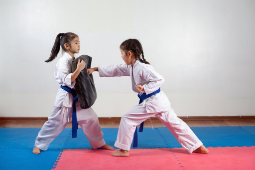 Bursa Taekwondo Kursu