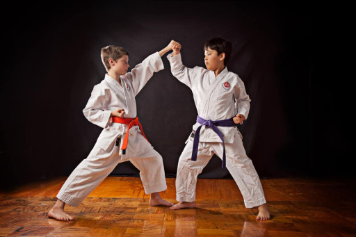 Ankara Karate Kursu